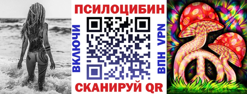 Галлюциногенные грибы Psilocybe  Багратионовск 